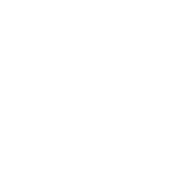 Logo Brand